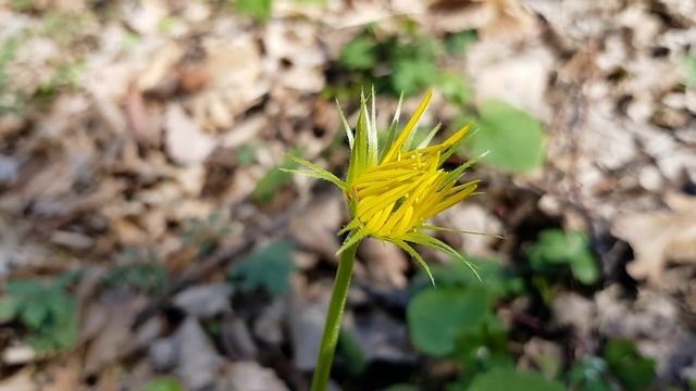 Дороникум | Жизнь в Адлере смотреть онлайн