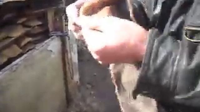 Чудо печька смотреть онлайн