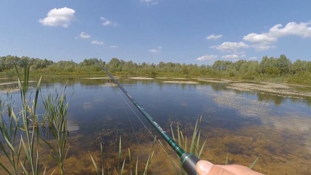 Salmo Slider 6f - коса мелководий смотреть онлайн