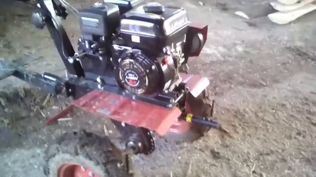 9 февраля 2019 г. смотреть онлайн