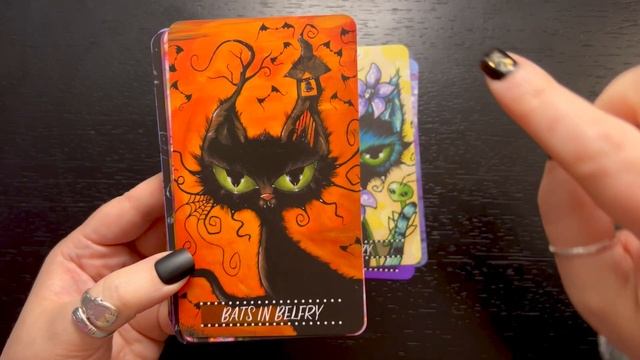 Cat Land and Return to Cat Land Oracle Deck Walk-Throughs смотреть онлайн
