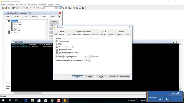 ? .:. Personalizar la ventana de trabajo de Microsoft Visual FoxPro 9 .:. смотреть онлайн