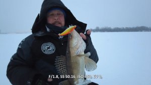 Рыбалка рядом с домом. Городские судаки. Когда нет возможности ехать «на дальний кордон».