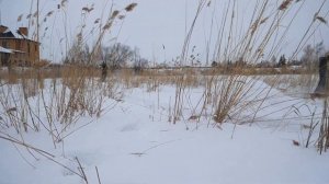 МОТОСНОУБОРДЫ В ПОЛЕ НА ГЛУБОКОМ СНЕГУ! Это бомбически! ЧЕСТНЫЕ ПОКАТУХИ С СИБМАСТЕР.