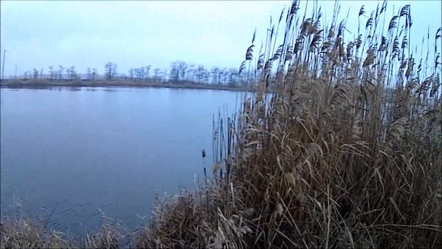 Рыбалка на КМВ, Цыганский пруд(щука) смотреть онлайн