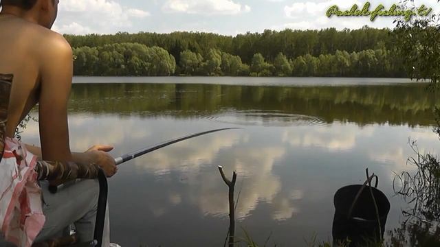Ловим Карася на Лесном Пруду, Рыбалка с Пашком, Карась на поплавок смотреть онлайн