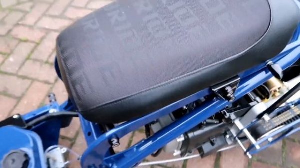 Pepsi The Blue Honda Ruckus Zoomer Build