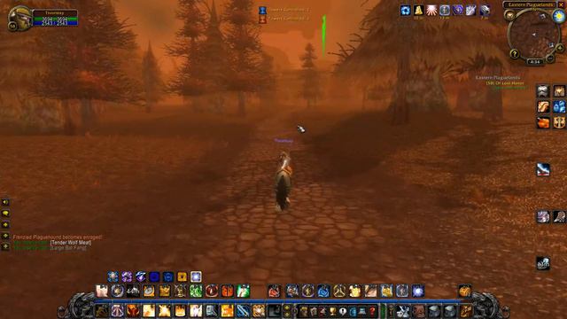 WoW Classic S1 Part 231: Entering the Final Stretch смотреть онлайн