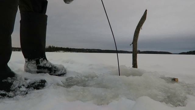 Winter bait fishing смотреть онлайн