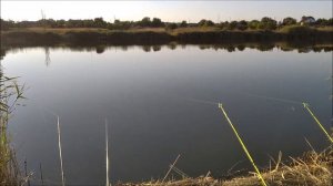 Вечерняя рыбалка  Кто победит Прикормка АНИС или ЧЕСНОК