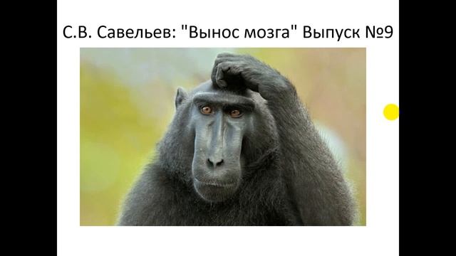 Возникновение человека 10 класс география смотреть онлайн