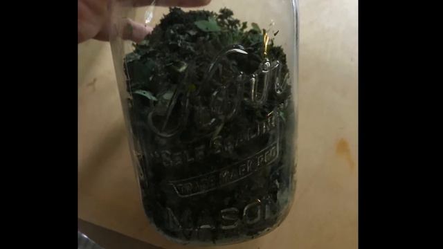 Bidens/Spanish Needles/Herbal Antibiotic смотреть онлайн