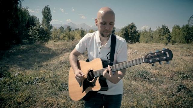 Voyage Voyage /Desireless/ Fingerstyle Guitar