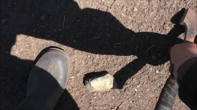 РЫБА КАМЕНЬ смотреть онлайн