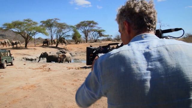 "Zоопарк" : "Знакомство со слонами" смотреть онлайн