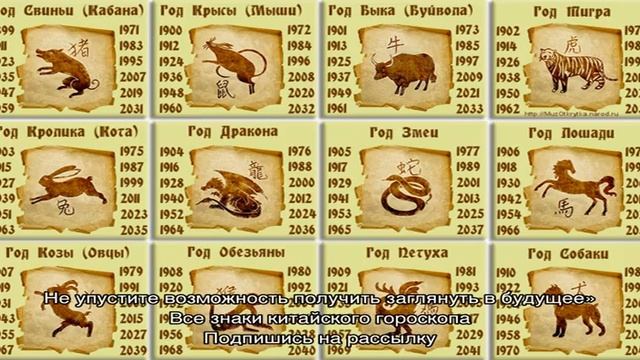 Знаки зодиака по годам в Китайском календаре смотреть онлайн