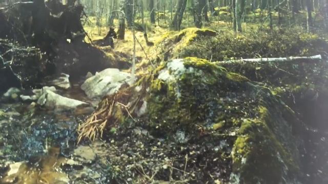 Световой планшет из китая Распаковка и использование Отдельная благодарность смотреть онлайн
