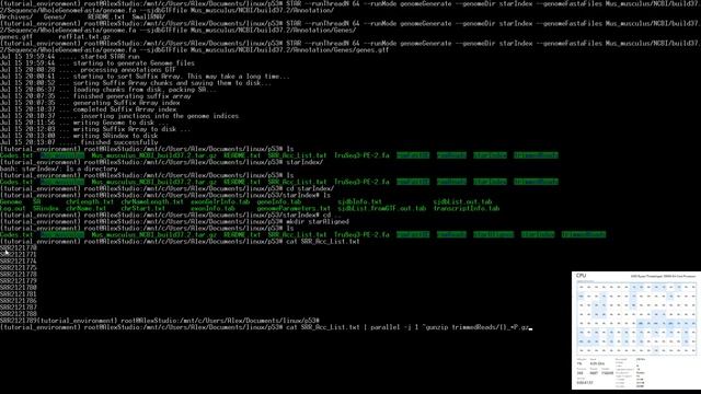 Bioinformatics - Building Genome Index and Aligning with STAR смотреть онлайн