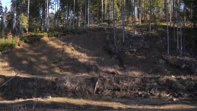 Село, де найдорожча земля в Карпатах, яку би я купив | Поляниця. смотреть онлайн