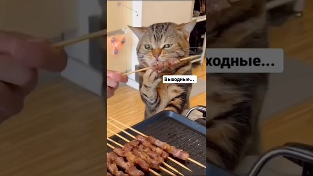 Как проходит неделя) смотреть онлайн