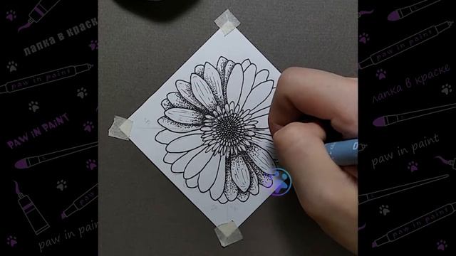 Гербера ? (рисунок маркерами)