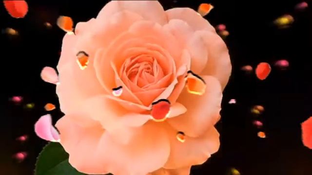 Анечка, с Днем Рождения!Желаем такого тебе разноцветья:#счастья#здоровья#любви#долголетия! смотреть онлайн