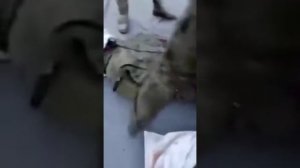 Украинские солдаты пытают людей