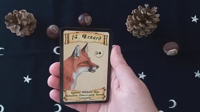 L'oracle de l'apprenti - Petit Lenormand d'Alexandre MUSRCUCK смотреть онлайн