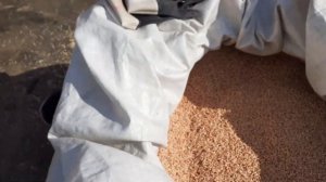 ВЕЯЛКА  ДЛЯ ЗЕРНА СВОИМИ РУКАМИ