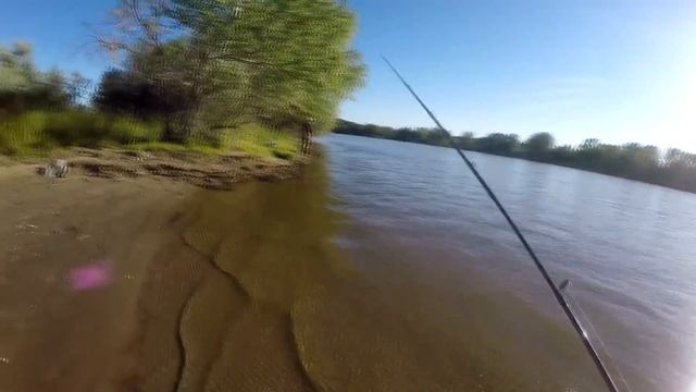 ? ? ? Бомбический клев ЖЕРЕХА. Приготовление балыка. смотреть онлайн