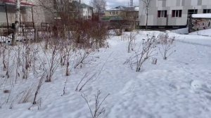 А. Блок О, весна без конца и без краю… Читает Татьяна Горбачева