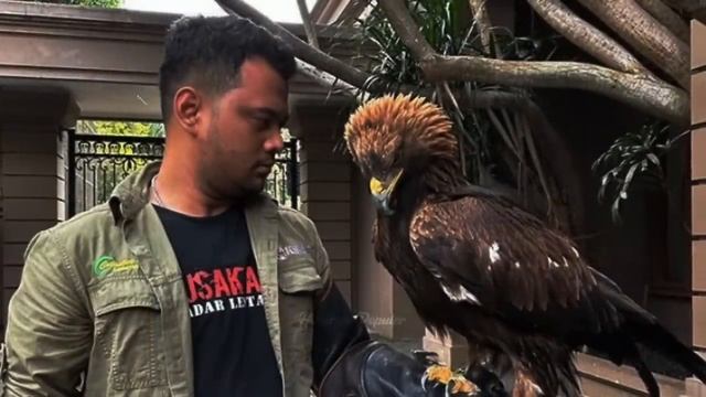 TIBA² BERUBAH DRASTIS! Begini Nasib Terbaru Panji Petualang Pawang Ular yang Kini Memprihatinkan смотреть онлайн