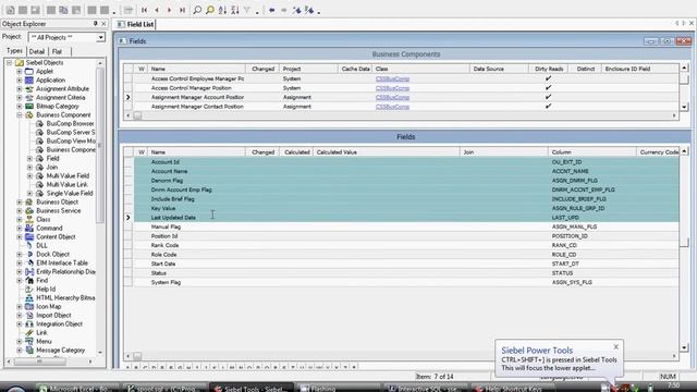 Demo for Siebel Power Tool version 3.0 смотреть онлайн