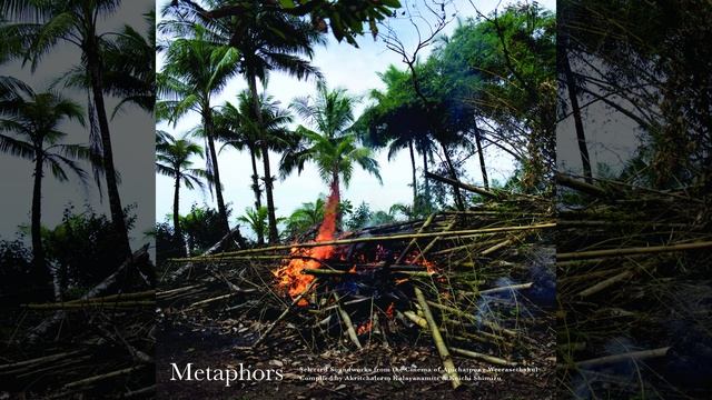 Reverberation (Syndromes and a Century / Faith) смотреть онлайн