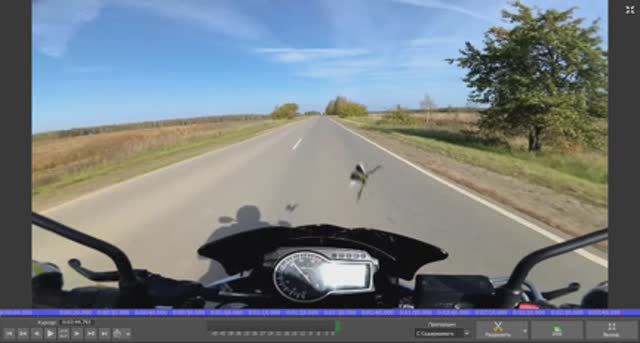 #Suzuki #GSR750 сбил птицу(((