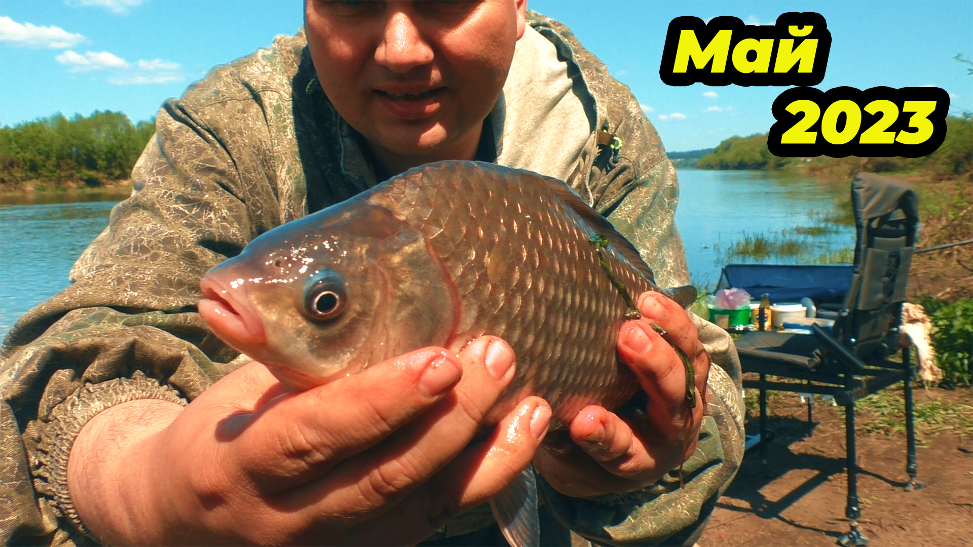 Огромная густера и здоровенный карась. Рыбалка на Дону в мае 2023 смотреть онлайн