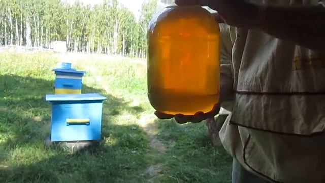 БАШКИРСКИЙ МЕД .ПРОСТОЙ СПОСОБ ОПРЕДЕЛЕНИЯ КАЧЕСТВА МЕДА ( ЗРЕЛОСТЬ) смотреть онлайн