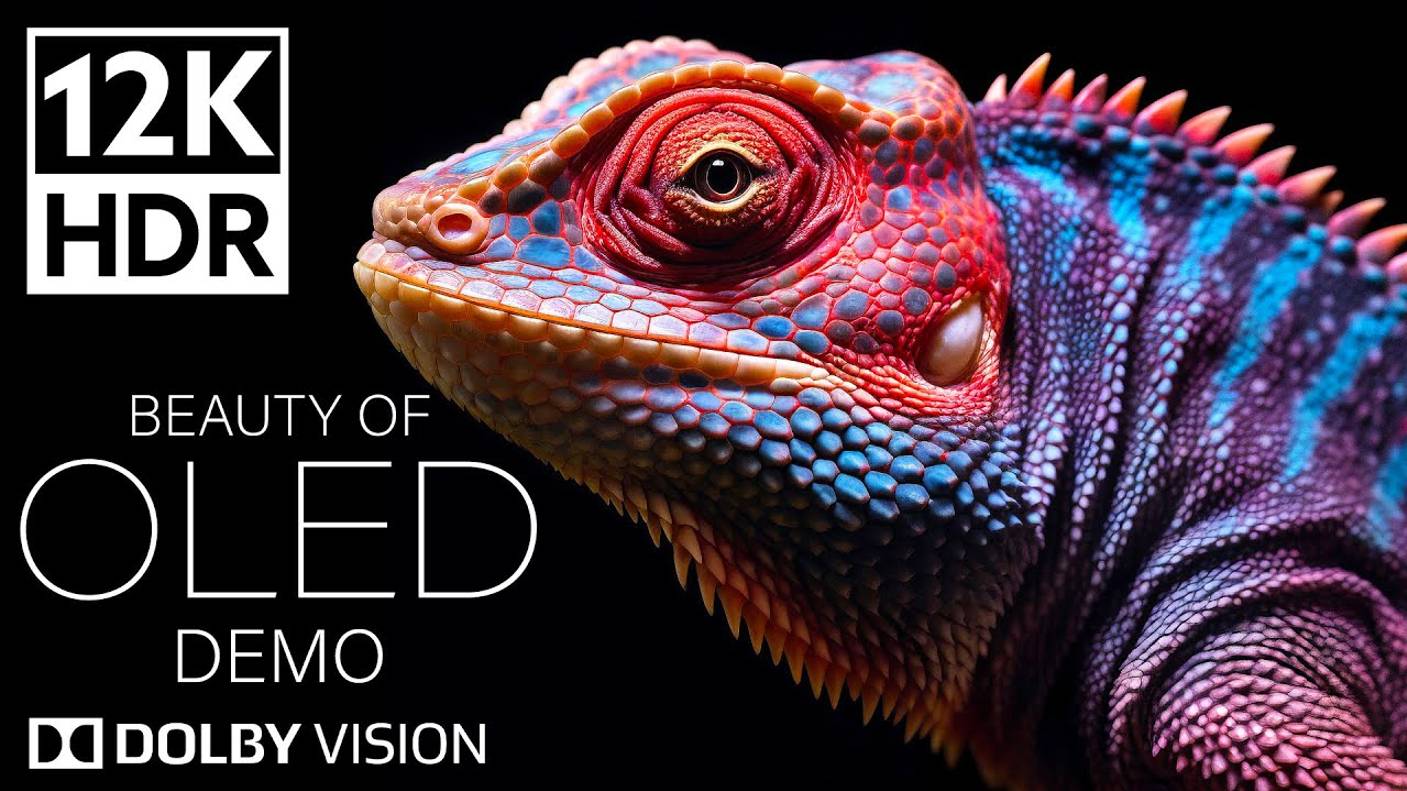 ЦВЕТА РАЯ Of Dolby Vision 12K HDR 240fps   8K TV