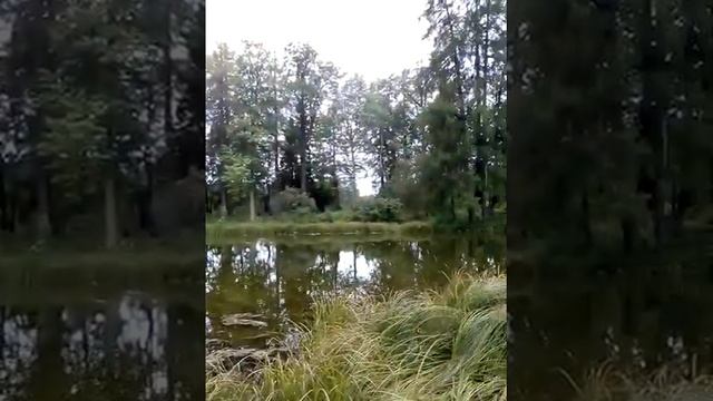 "Лёгкий дождик моросит..." Поэт и режиссер - Ирина Эрман смотреть онлайн