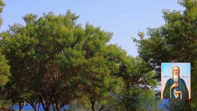 О безгневии и кротости. Слово 8 / «Лествица» преподобного Иоанна Лествичника смотреть онлайн