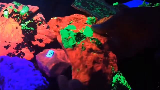 Collector's Fluorescent Mineral Specimen Display смотреть онлайн