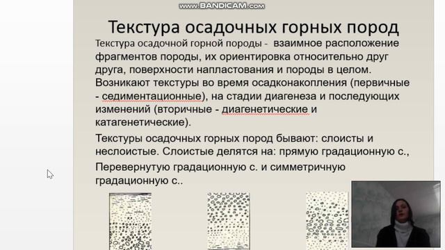 Музалевская Е.Е смотреть онлайн