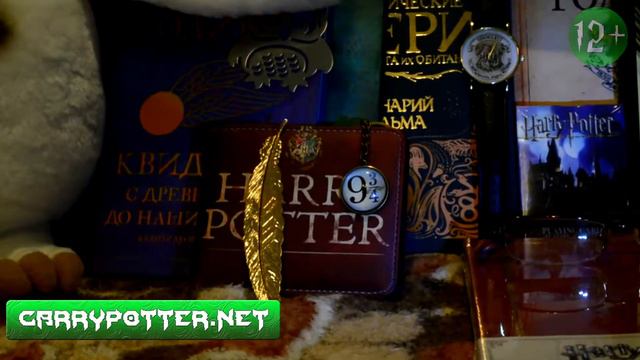 Книги о Гарри Поттере и атрибутика из волшебного мира смотреть онлайн