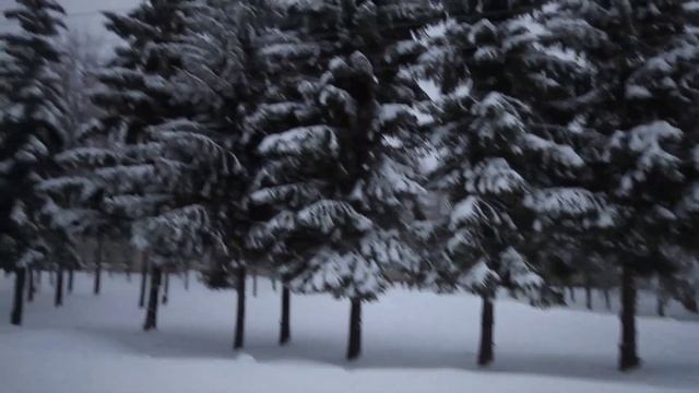 Canon EOS 7D | молчаливый обзор