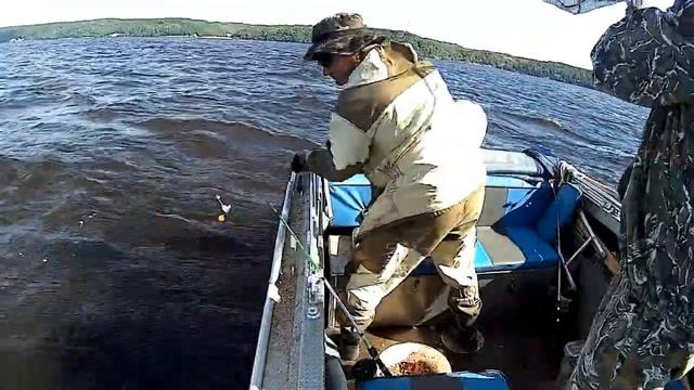 ЛЕЩЕВЫЙ КЛЕВ !!! смотреть онлайн