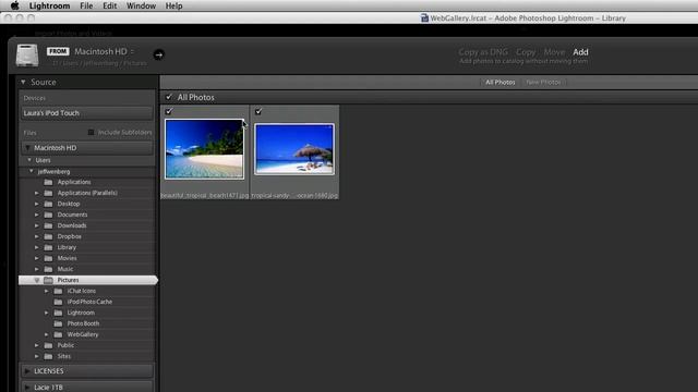 Importing Photos in Lightroom смотреть онлайн