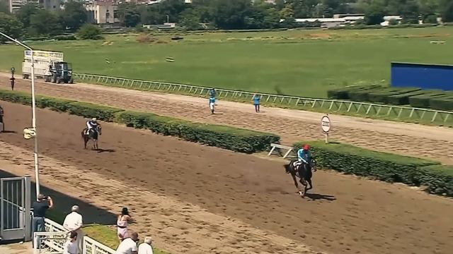 Герой Мо | Hero Mo / Хироу Мо, Ногай ат, Russian Horse. Лучший жеребец 3х лет России , Кунбатар