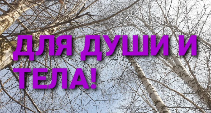 МЕТОД 21 ВЕКА! САМЫЙ СОВРЕМЕННЫЙ СПОСОБ ДОБЫЧИ БЕРЕЗОВОГО СОКА!! смотреть онлайн