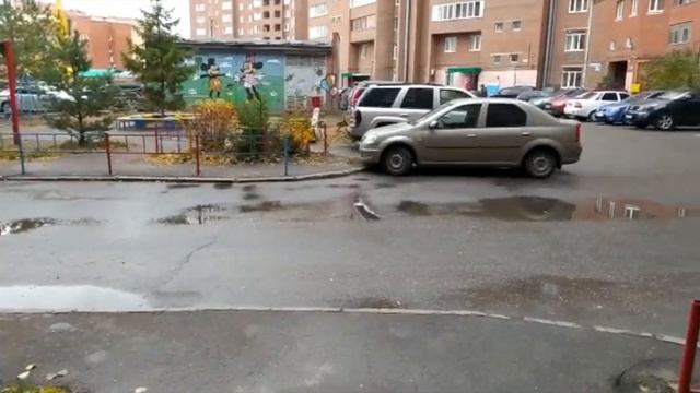 По улицам Уфы бегает волк смотреть онлайн