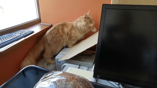 Субстрат на четвертый день. смотреть онлайн